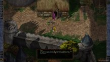 Гра Baldurs Gate: Enhanced Edition
