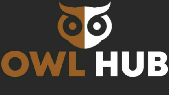 owl-hub-script