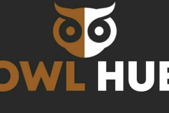 owl-hub-script