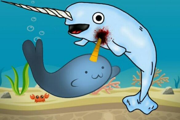 narwhale-io-hacks