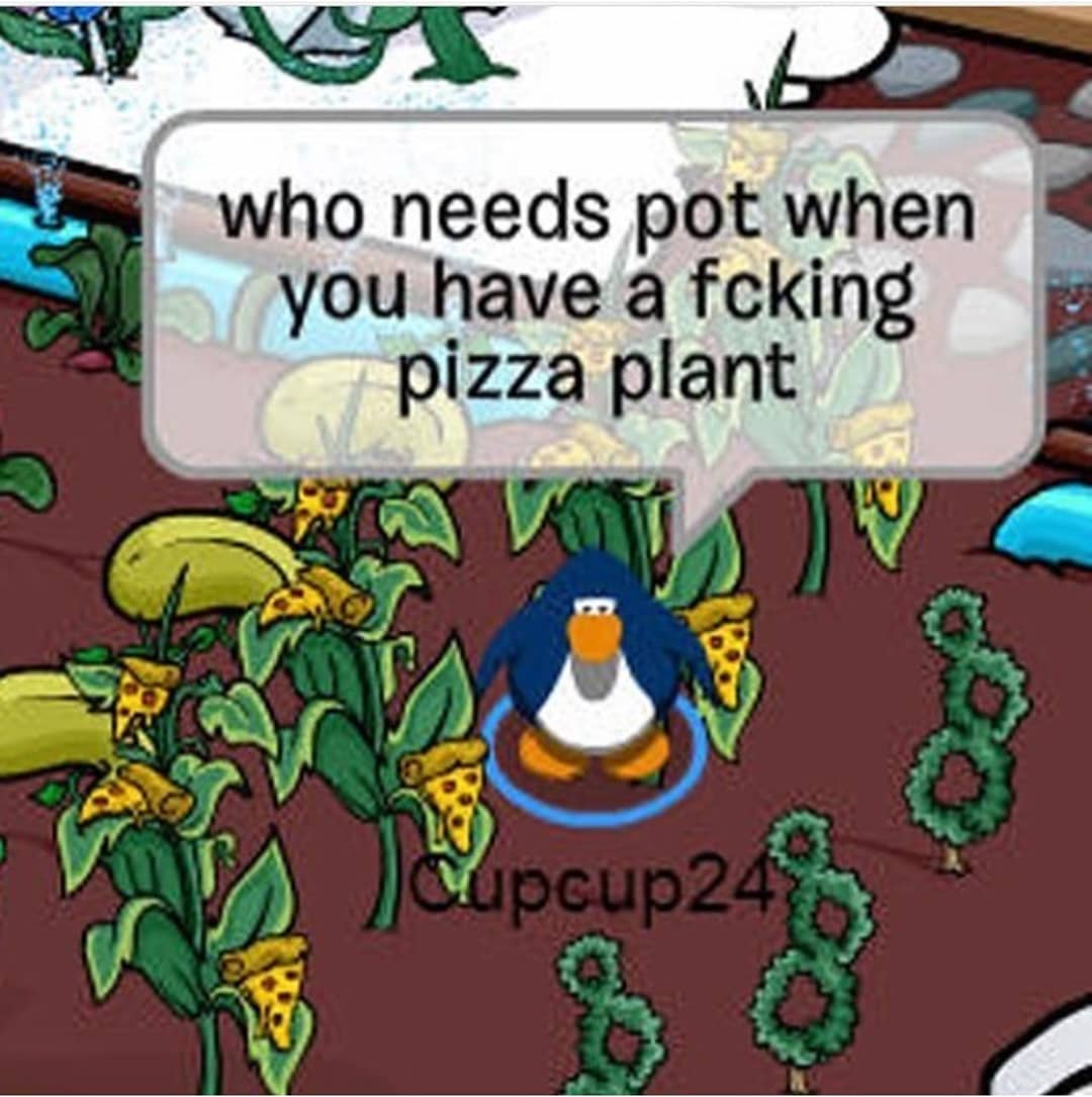club-penguin-memes