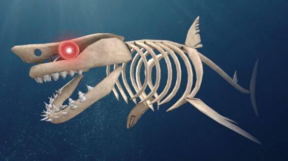 sharkbite-script