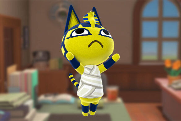 ankha-zone