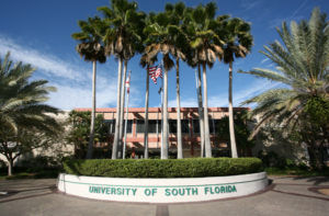 university of south florida tampa,fl