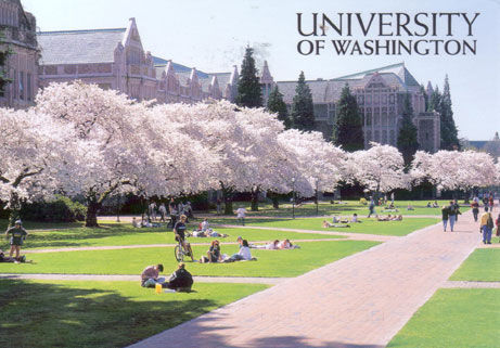 university of washington seattle,wa