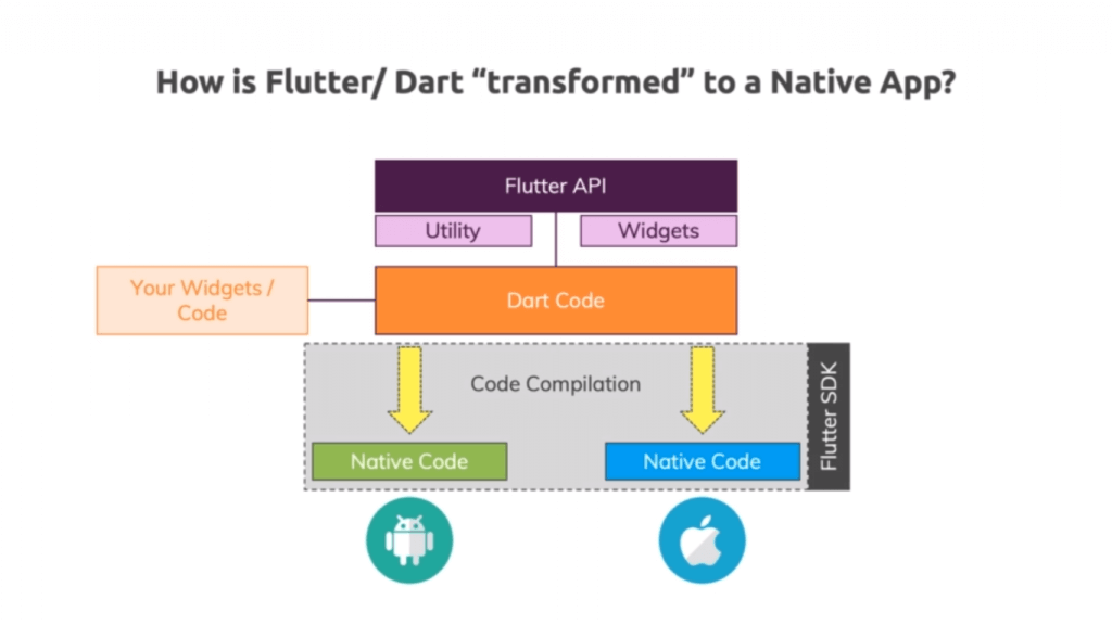 Flutter dart transformed