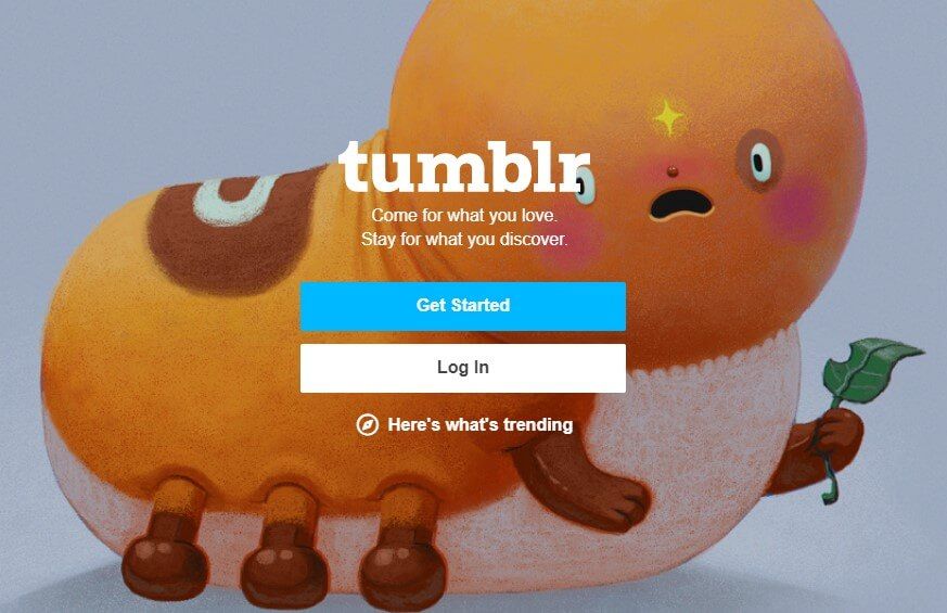tumblr home page