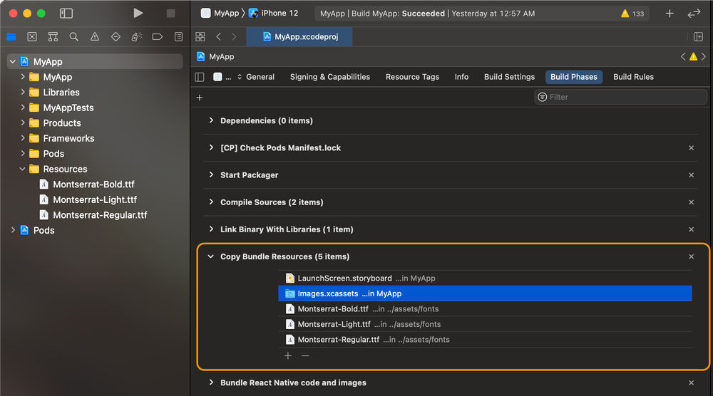 custom font files under build phases iOS react native