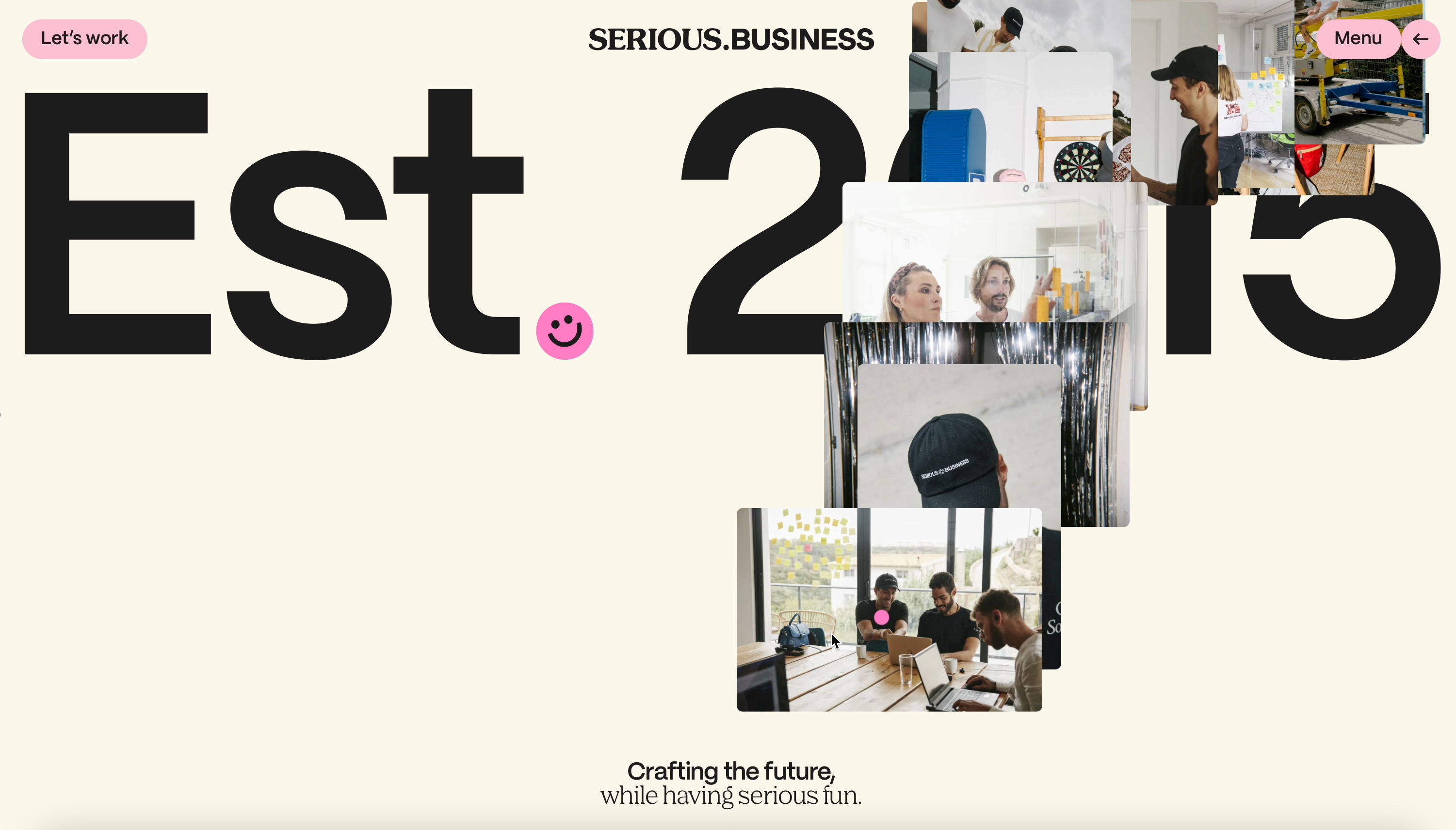 Website 3 picvideo 2