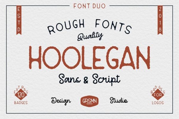 Hoolegan