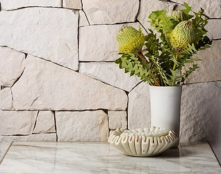 GatherCo Columbus Hero Sandstone NaturalLayWalling Natural
