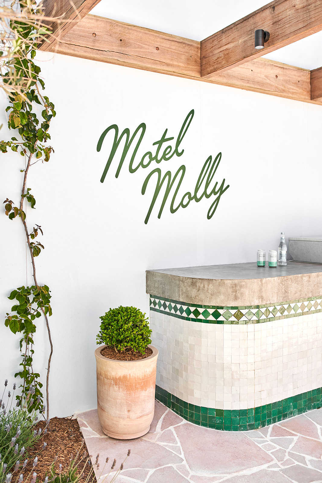 Motel Molly  03