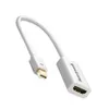 Honeywell Mini Display Port to HDMI Adapter (White)