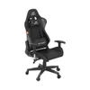 Ant Esports Carbon Gaming Chair