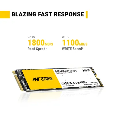 Ant Esports 690 Neo Pro M.2 NVMe SSD 256 GB