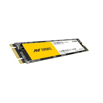 Ant Esports 690 Neo Pro M.2 Sata 512 GB SSD