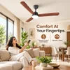 XUGA Celeste F2P 28W 5 Star 380rpm Oakwood BLDC 3 Blade Ceiling Fan with Remote , Sweep: 1200 mm , Copper Motor , 5 Years Warranty