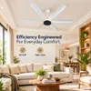 Xuga Jovian F6F Premium 1200mm Ceiling Fan | High SV 6.87 Service Value | 32W Low Power Consumption with 210 CMM Airflow | 6+ Boost Speed Settings I 5-year warranty
