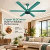 Xuga Jovian F6T Premium 1200mm Ceiling Fan | High SV 6.87 Service Value | 32W Low Power Consumption with 210 CMM Airflow | 6+ Boost Speed Settings | Copper Motor | 5 Years Warranty