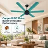 Xuga Jovian F6T-D Premium 1200mm Ceiling Fan | High SV 6.87 Service Value | 32W Low Power Consumption with 210 CMM Airflow | 6+ Boost Speed Settings | Copper Motor | 5-year warranty