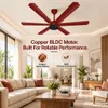 Xuga Jovian F6R Premium 1200mm Ceiling Fan | High SV 6.87 Service Value | 32W Low Power Consumption with 210 CMM Airflow | 6+ Boost Speed Settings I 5 Years Warranty