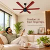 Xuga Jovian F6R-D Premium 1200mm Ceiling Fan | High SV 6.87 Service Value | 32W Low Power Consumption with 210 CMM Airflow | 6+ Boost Speed Settings I 5 Years Warranty