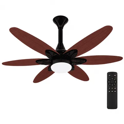 XUGA Velor F11P 1200mm Premium BLDC Ceiling Fan with Remote Control, Oakwood Finish, Sweep: 1200 mm , Copper Motor , 5 Years Warranty