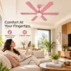XUGA Zephyr F1L 32W 5 Star 320rpm Copper Motor Pink BLDC 6 Blade Ceiling Fan with Remote & Copper Motor, Sweep: 1200 mm | 5 years Warranty