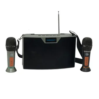 Cybernautt Boombest LN1016 80W Bluetooth Speaker, Dual-Channel Freestanding Wireless Speaker, Battery Powered with 85 dB Powerful Sound Output