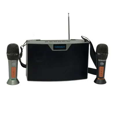 Cybernautt Boombest LN1016 80W Bluetooth Speaker, Dual-Channel Freestanding Wireless Speaker, Battery Powered with 85 dB Powerful Sound Output