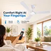 XUGA Celeste F2F 28W 5 Star 380rpm 3 Blade  White Finish BLDC Ceiling Fan with Remote, Sweep: 1200 mm , Copper Motor , 5 Years Warranty