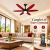 XUGA Velor F11R BLDC Ceiling Fan for Home | 1200mm Sweep | 320 RPM High Speed | 210 CMM Air Delivery | Remote Control with 6+Boost Speeds | 32W Energy Saving Motor | Silent Operation | 5 Year Warranty | Red