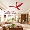 XUGA Neo F4R, 28W,5 Star, 380rpm,3 Blade, Smoky Brown BLDC Ceiling Fan with Remote, Sweep: 1200 mm, Copper Motor, 5 Years Warranty, Red Finish