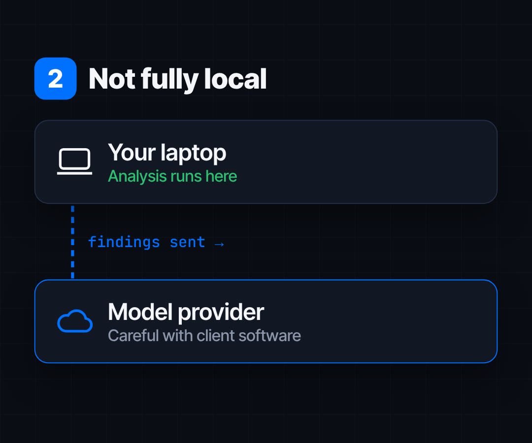 Diagram: analysis runs on your laptop, but findings are sent to the model provider.
