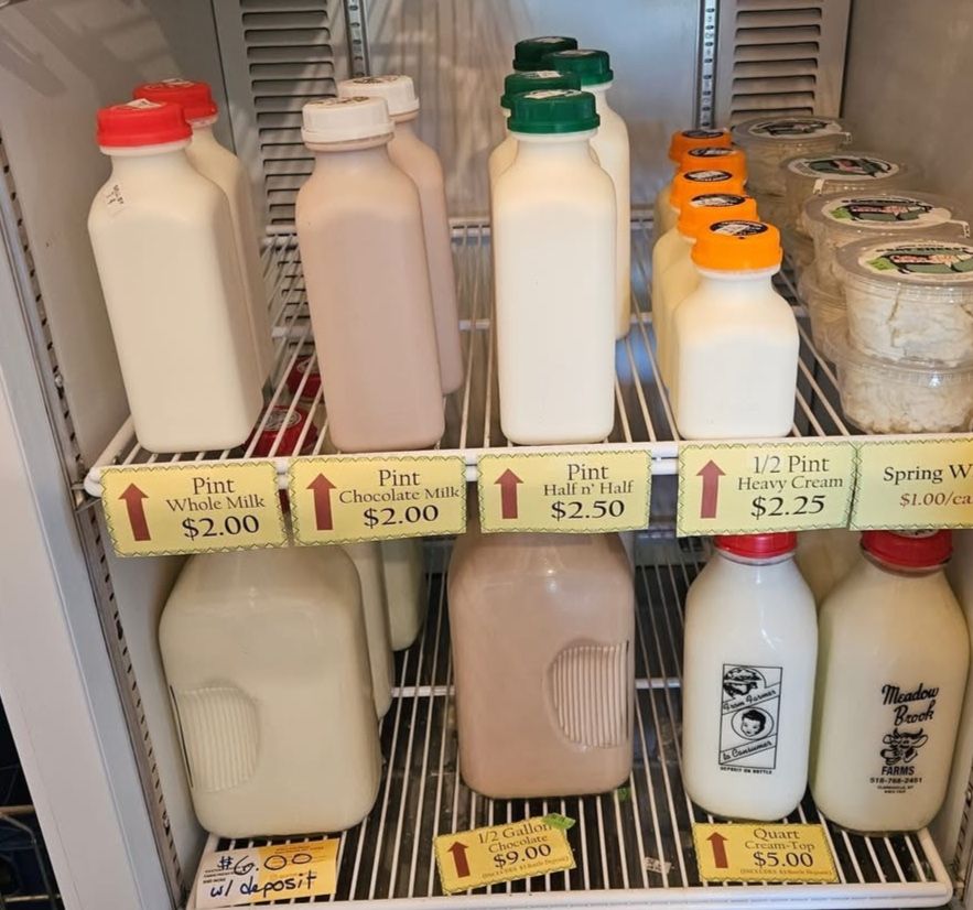 Milk & Dairy Products