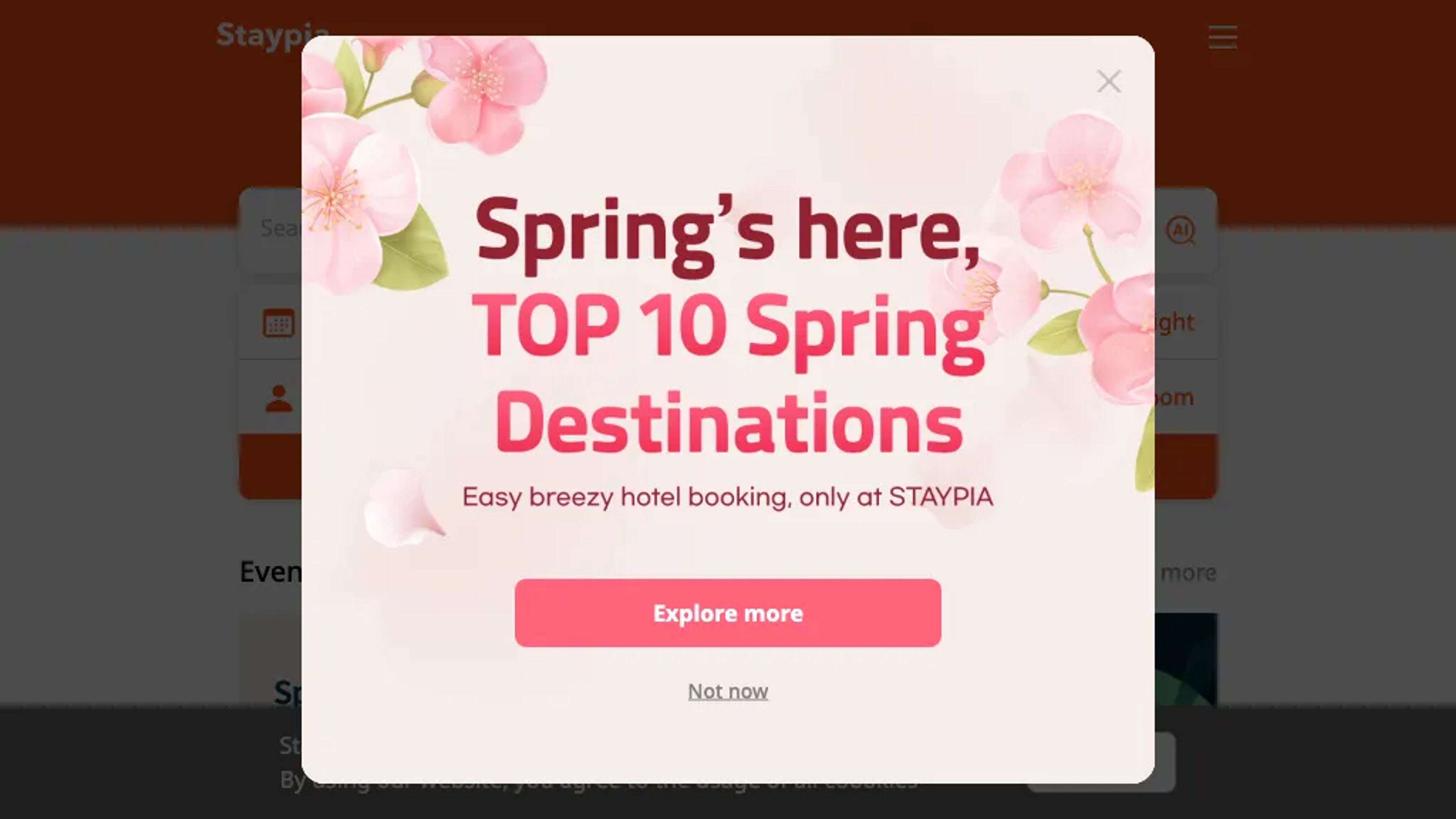 Staypia