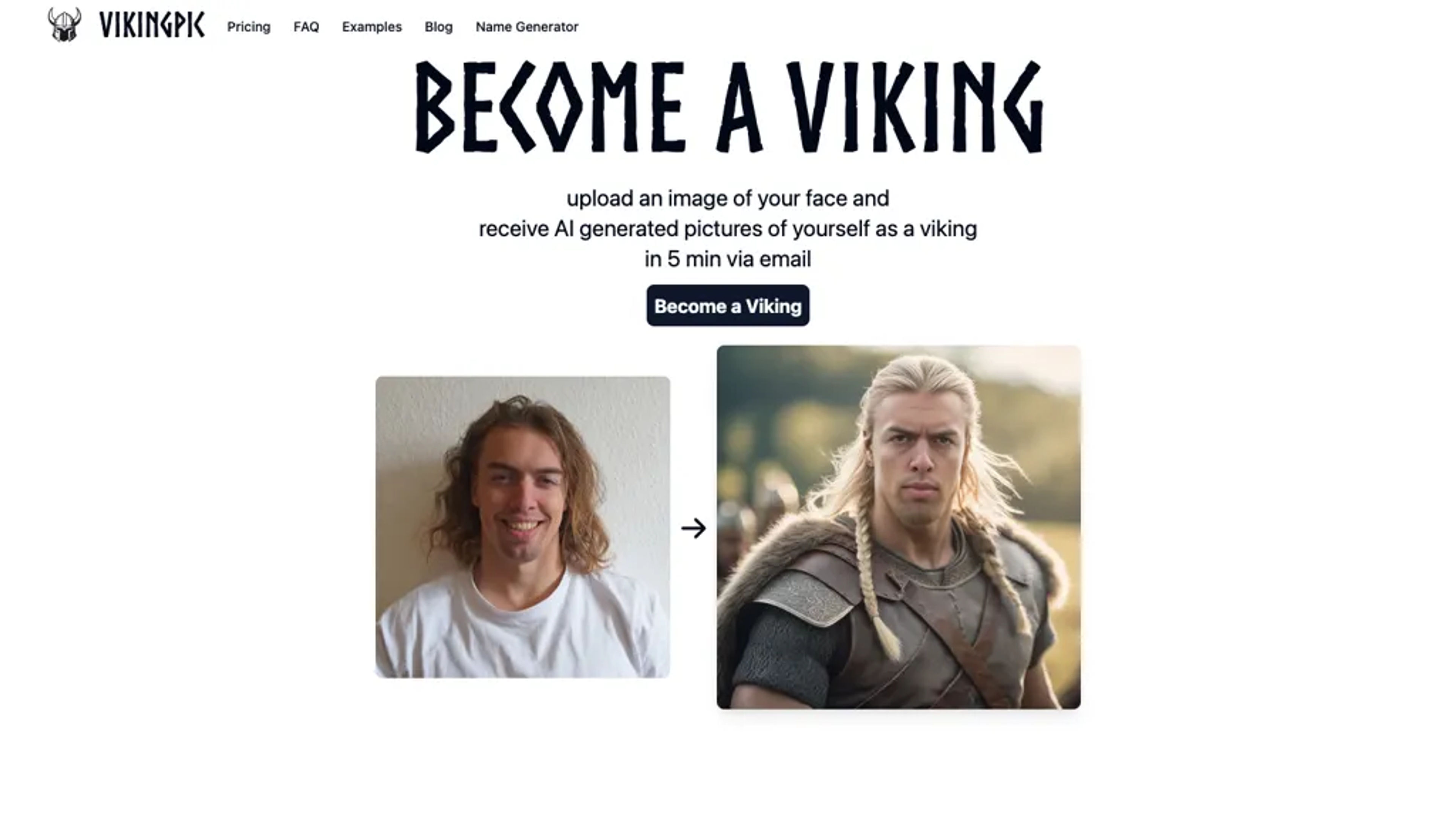 VikingPic