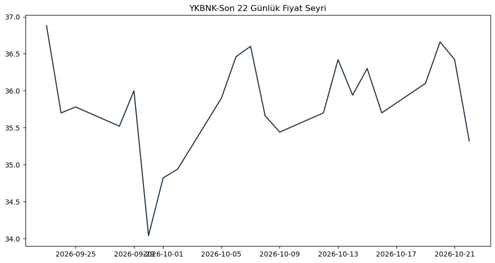 Son 1 Aylık Fiyat Seyri