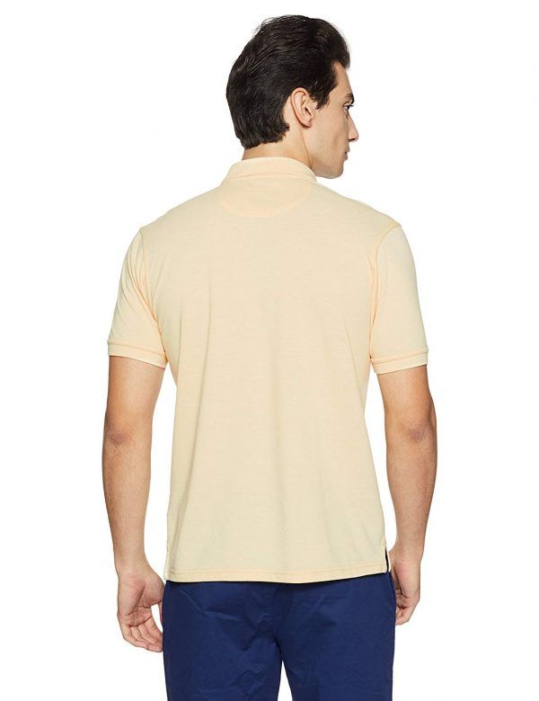 Allen Solly Men's Polo back