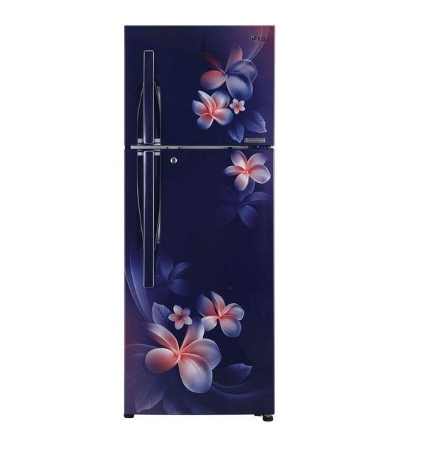 LG 260 L 4 Star Inverter Frost-Free Doube-Door Refrigerator (GL-T292RBPN, Blue Plumeria)