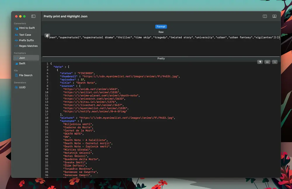JSON Formatter