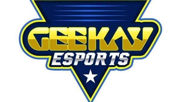 Geekay announces Esports division