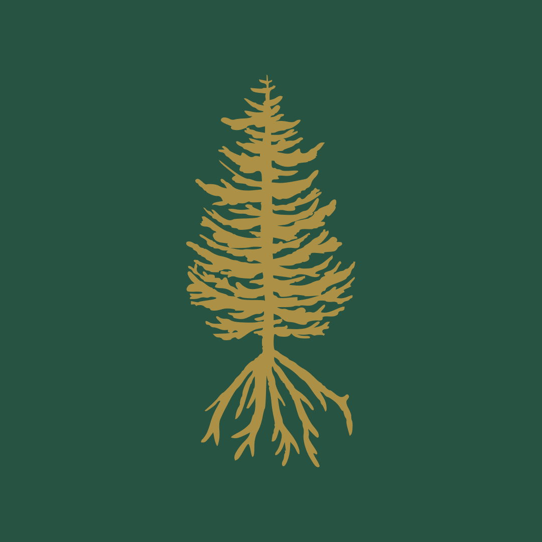 Image #2 of Roots Landscaping by Giuliana Design & Illustration