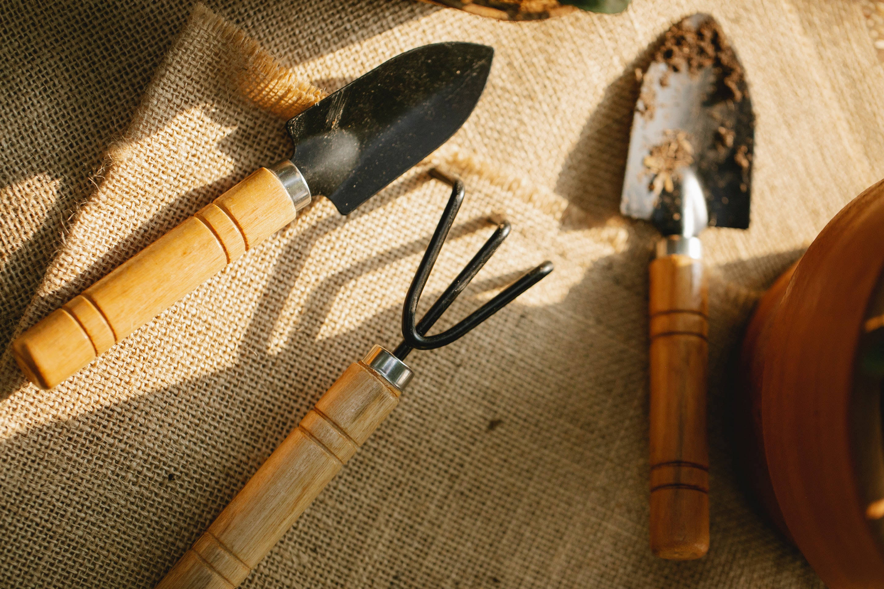 Cover for service: the Toolkit