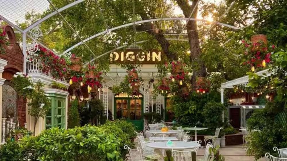 Best Cafes in Delhi