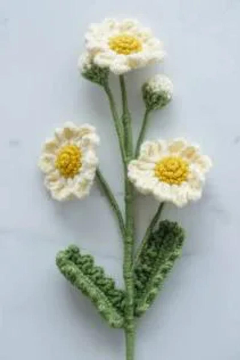 Crochet Daisy Flower Set