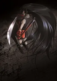 Watch free online Akame ga Kill! on Anitummy