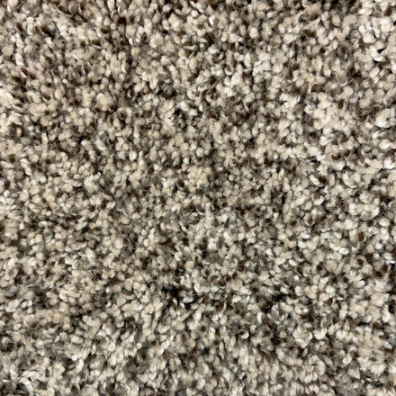 Maximus BB031 12'  Carpet