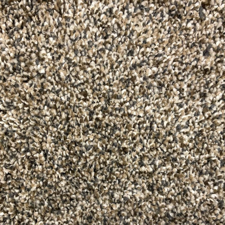 SP75S #06 12'  Carpet