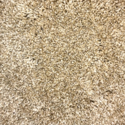 Soft Elegance 0019 12'  Carpet